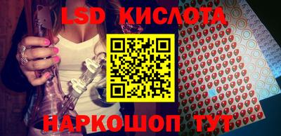 крисы Славгород