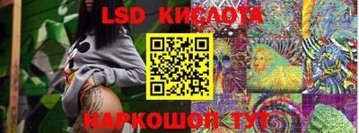 крисы Славгород