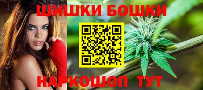 крисы Славгород