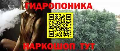 крисы Славгород