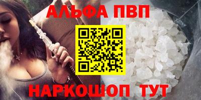крисы Славгород
