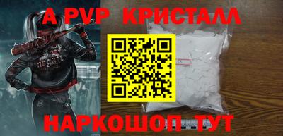 крисы Славгород