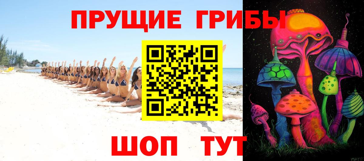 Барнаул  Галлюциногенные грибы Psilocybe  Галлюциногенные грибы мицелий  купить наркотики цена  Вход с VPN 